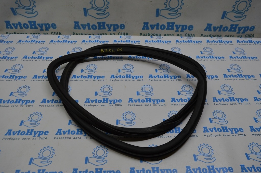 Уплотнитель дверного проема зад лев VW Passat b7 USA